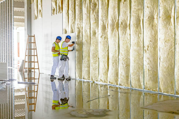 Best Insulation Maintenance and Repair in Flora, IL